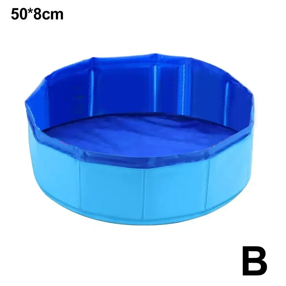 Cat Pool for Water Play