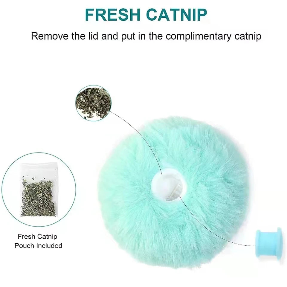 Smart Cat or Kitten Toy Interactive Ball | Electric Catnip Training Toy