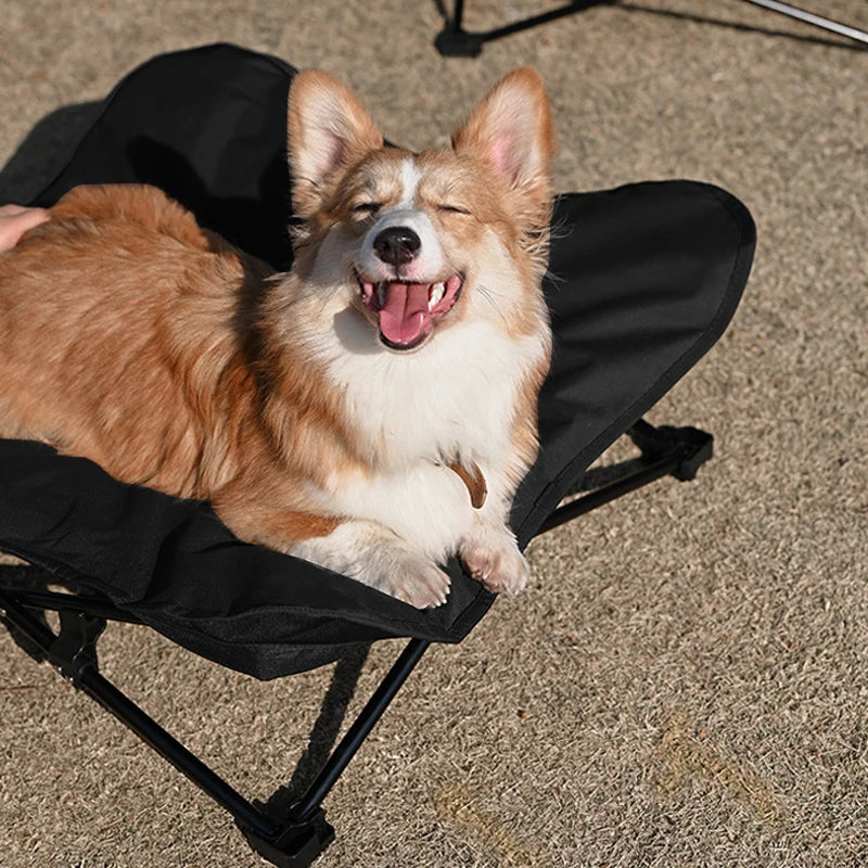 Elevated Outdoor Camping Foldable Pet Bed with Support and Mattress