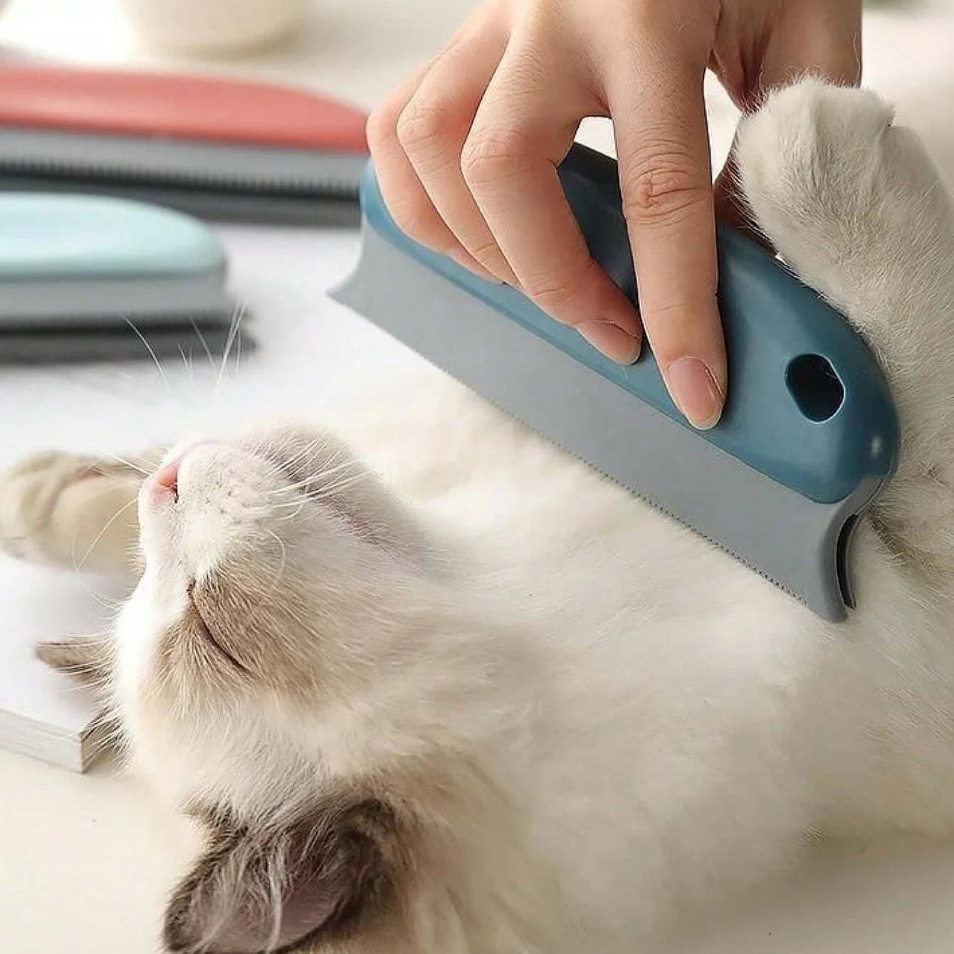 Pet Hair Remover Brush for Fabrics | Gently Remove Pet Hair