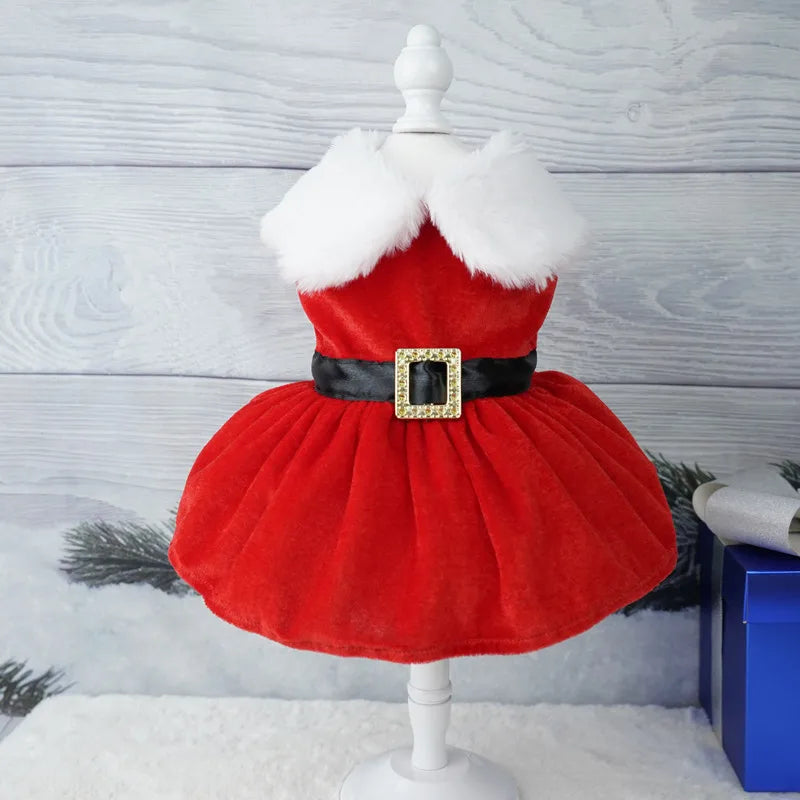 Glamorous Holiday Christmas Dog Dress Xmas | Santa’s Buckle or Festive Green Ribbon Belt