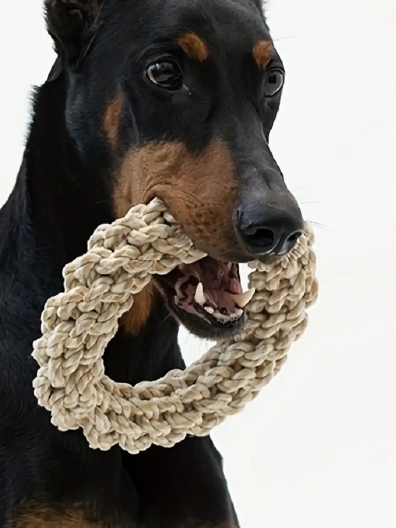 Dog Rope Toy | Durable | Bite Resistant Pet Toy