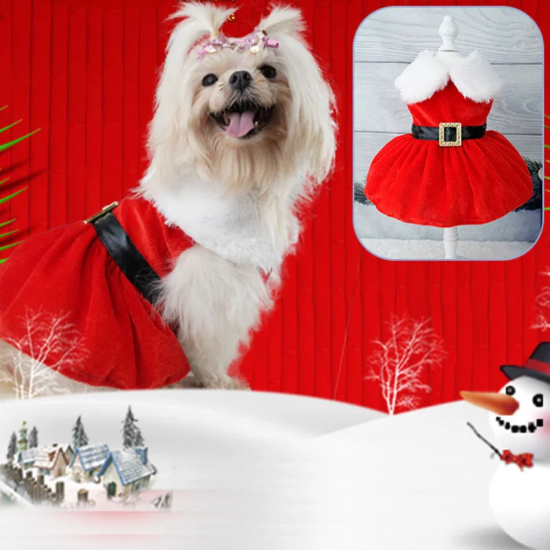 Glamorous Holiday Christmas Dog Dress Xmas | Santa’s Buckle or Festive Green Ribbon Belt