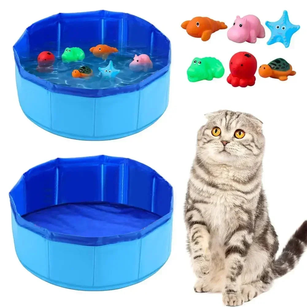 Cat Pool for Water Play