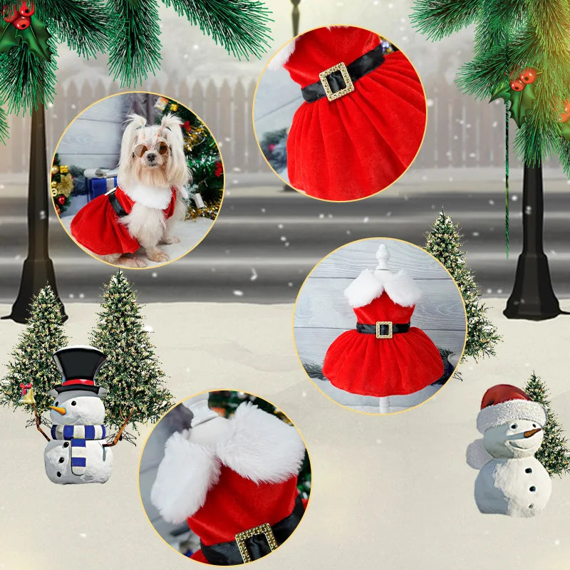 Glamorous Holiday Christmas Dog Dress Xmas | Santa’s Buckle or Festive Green Ribbon Belt