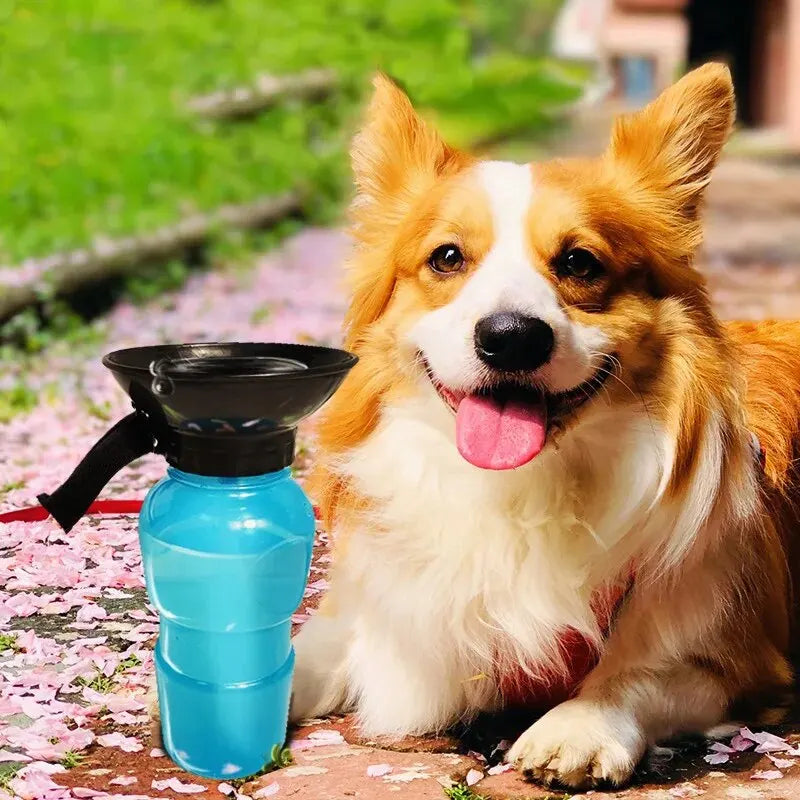 Squeeze and Fill Portable Dog Water Bottle | Pink Blue Grey