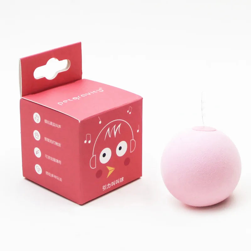 Smart Cat or Kitten Toy Interactive Ball | Electric Catnip Training Toy