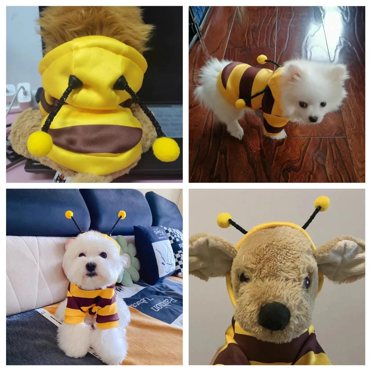 Adorable Halloween Doggy Bee Costume