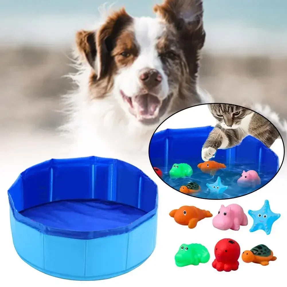 Cat Pool for Water Play