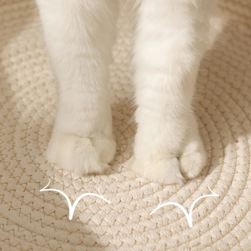 Eco-Friendly Natural Handmade Rattan Woven Pet Bed for Cats or Dogs | Washable | All-Season