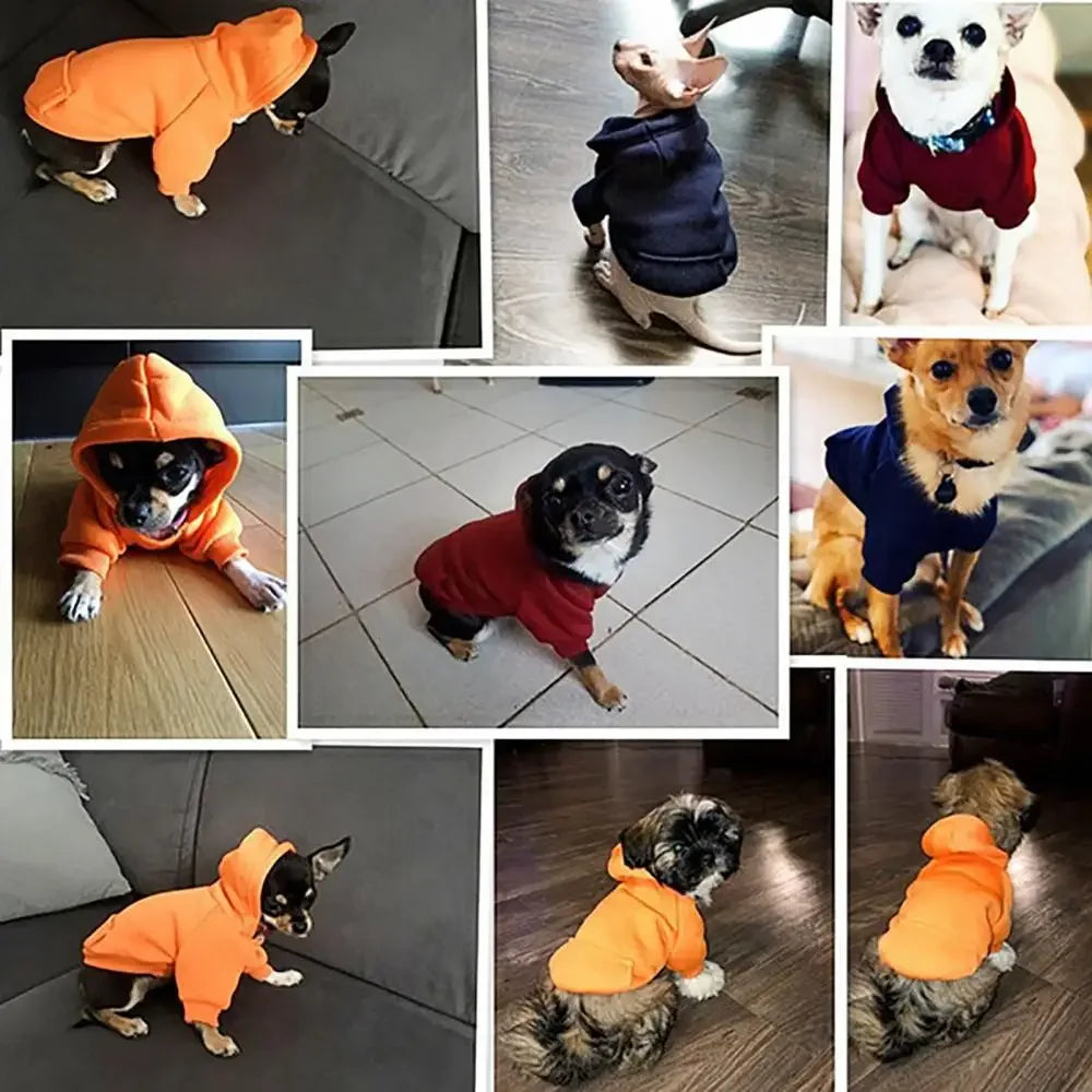 Pet Hooded Sweatshirt for Dogs and Cats with Pocket