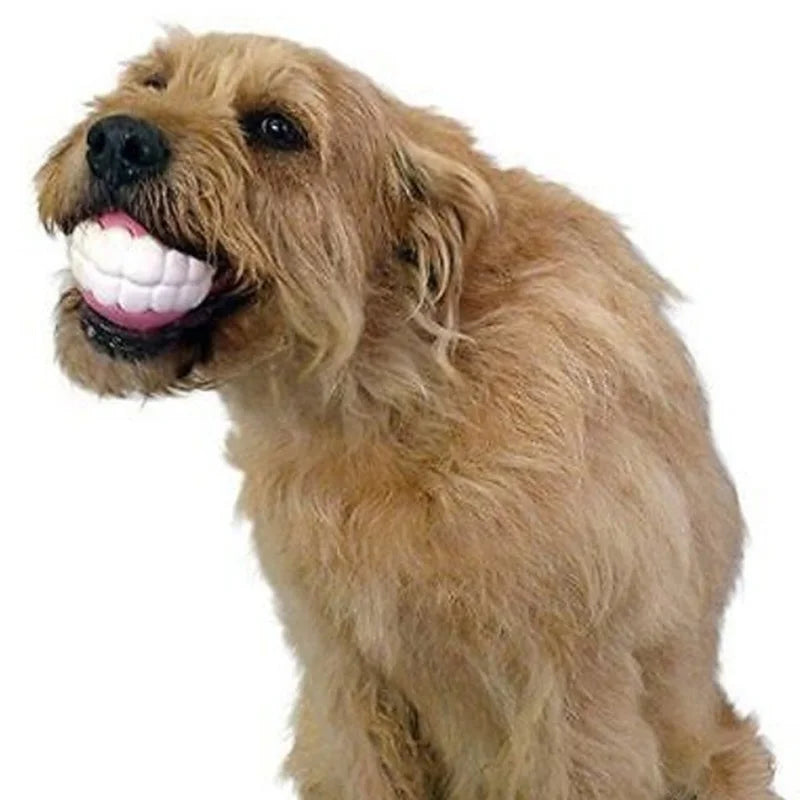 Dog Ball Teeth Silicone | Chew Toy with Sound