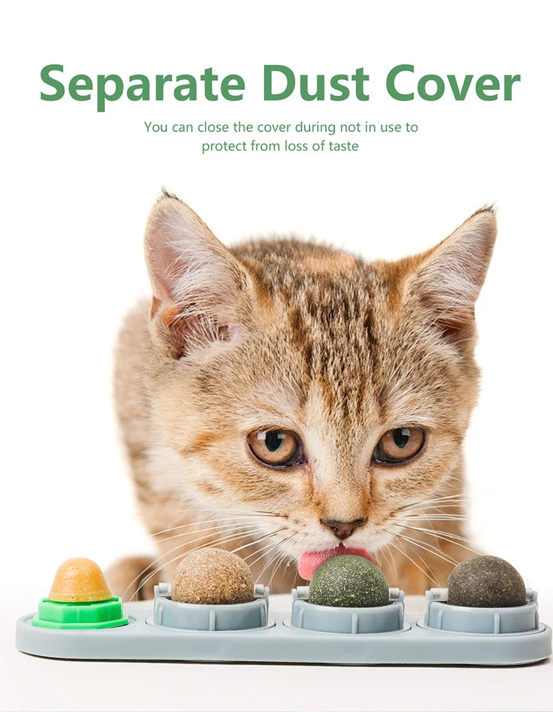 Healthy Natural Catnip Toys for Feline Cat Teeth Cleaning