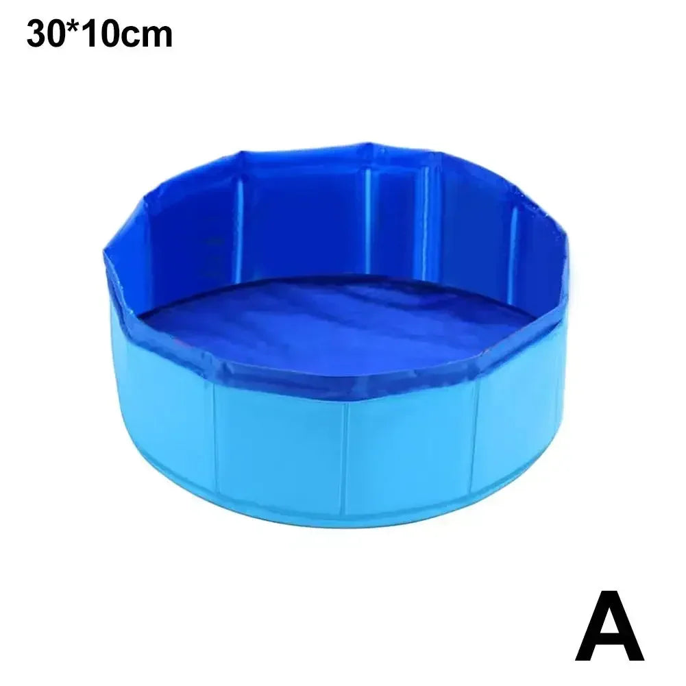 Cat Pool for Water Play