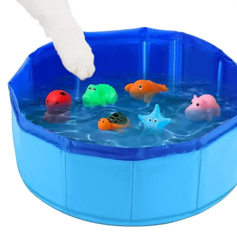 Cat Pool for Water Play