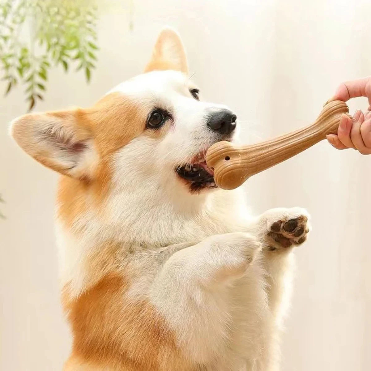Durable Pine Wood-look Dog Chew Toy