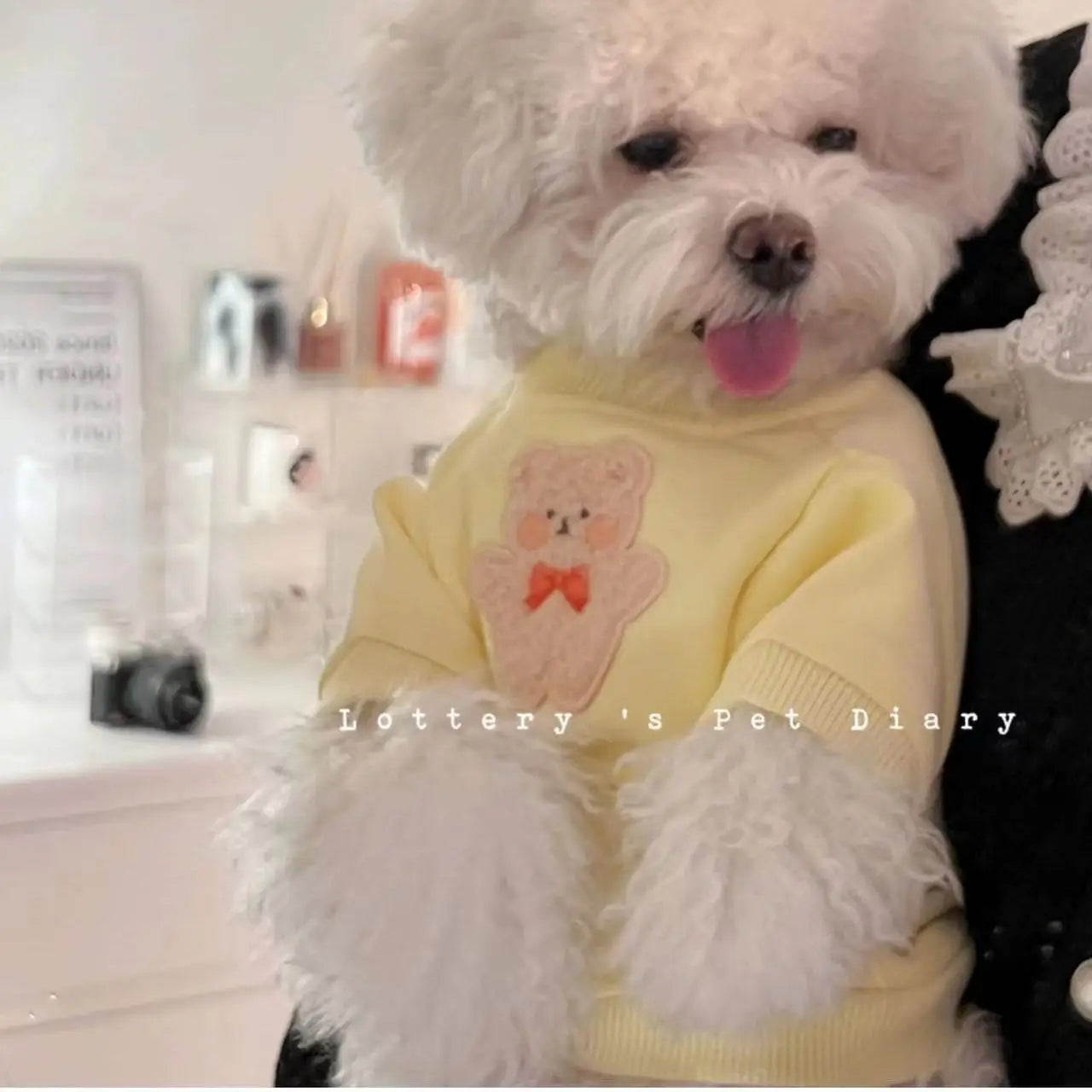 Sweet Teddy Bear Soft
Cat or Dog Sweater | Pajamas