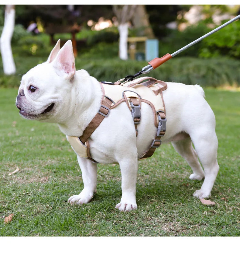 Dog Chest Harness | Anti-break | 3 Point Contact