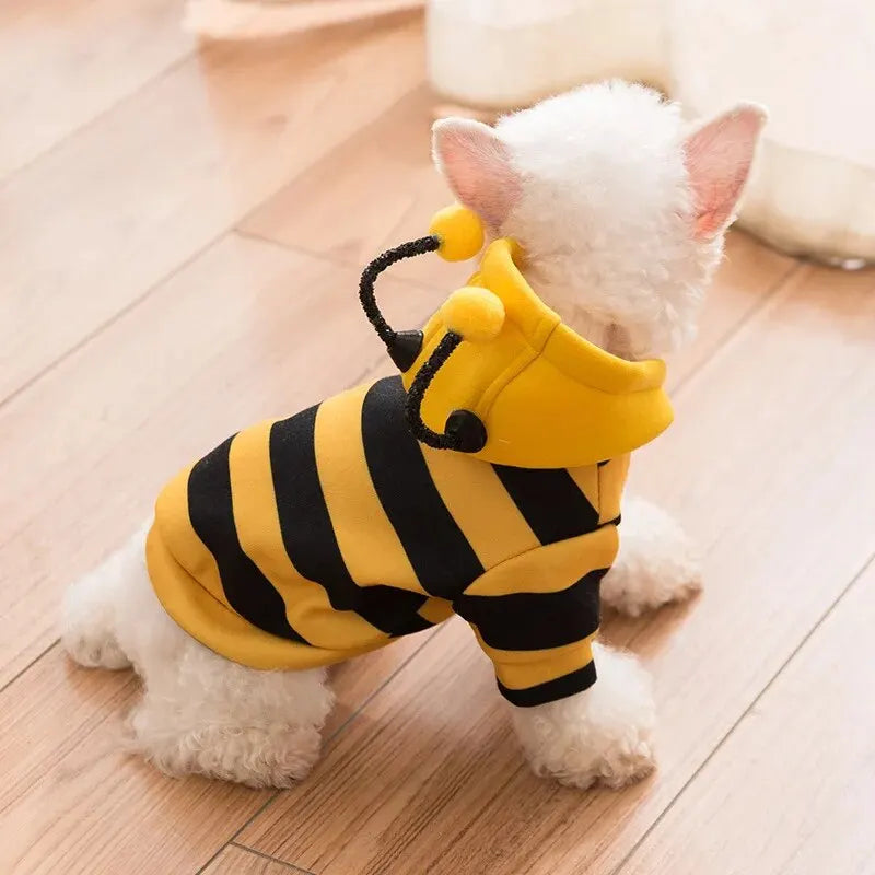 Adorable Halloween Doggy Bee Costume