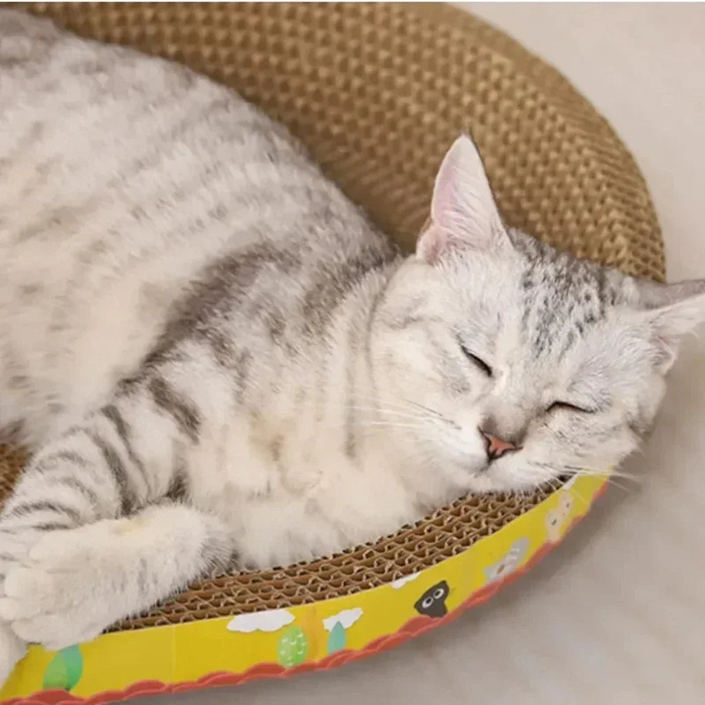 Oval Corrugated Cardboard Cat Scratching Board | Bed