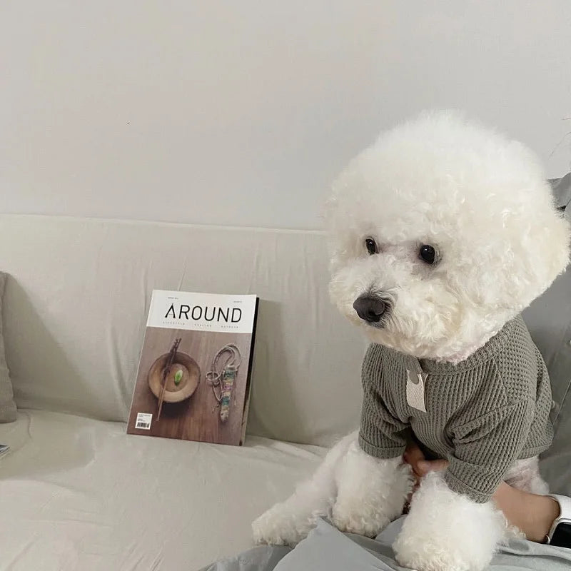 Trendy Waffle Knit Dog Sweater for Autumn Walks | Pink Grey Khaki Navy White