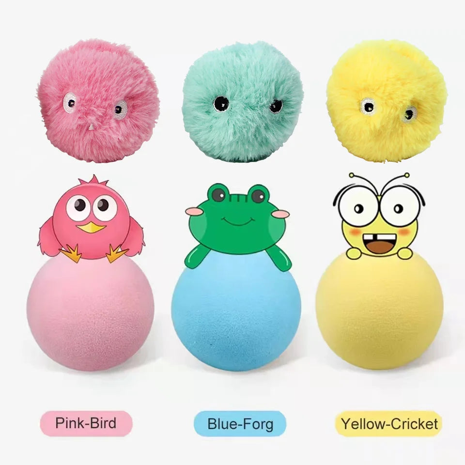 Smart Cat or Kitten Toy Interactive Ball | Electric Catnip Training Toy