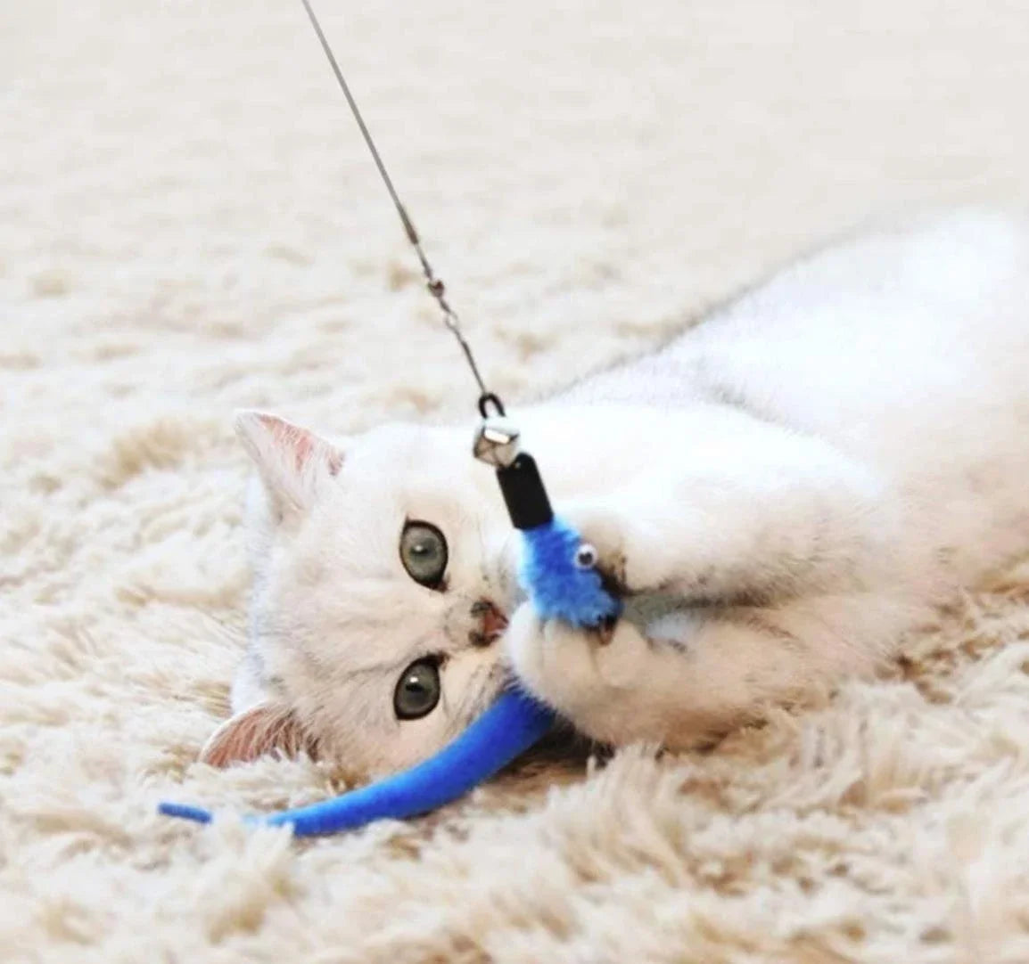 11pcs Cat Feather Toy Set