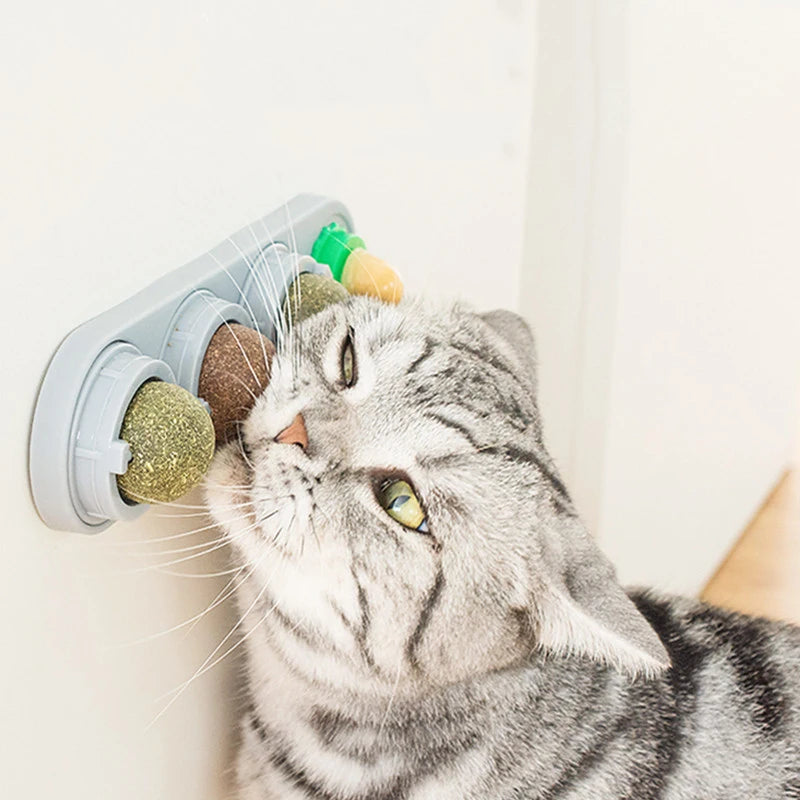 Healthy Natural Catnip Toys for Feline Cat Teeth Cleaning