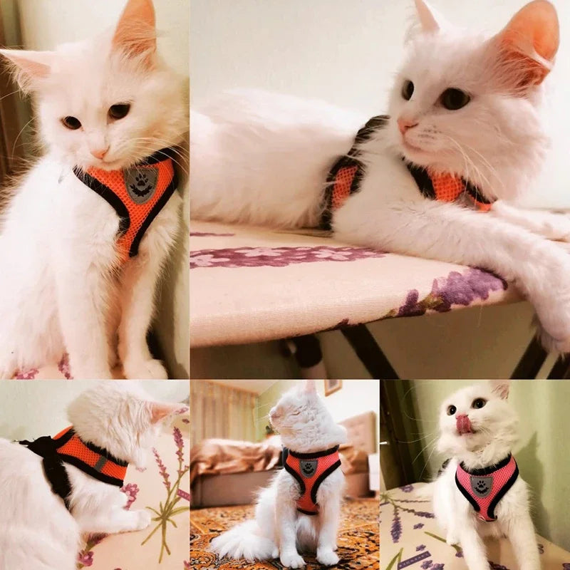 Summer Cat or Dog Harness Adjustable Vest | Polyester Mesh | Breathable