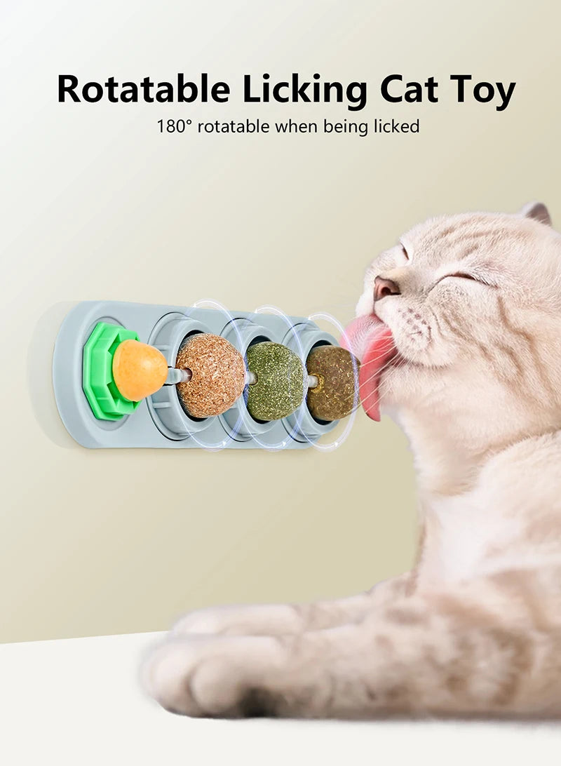 Healthy Natural Catnip Toys for Feline Cat Teeth Cleaning