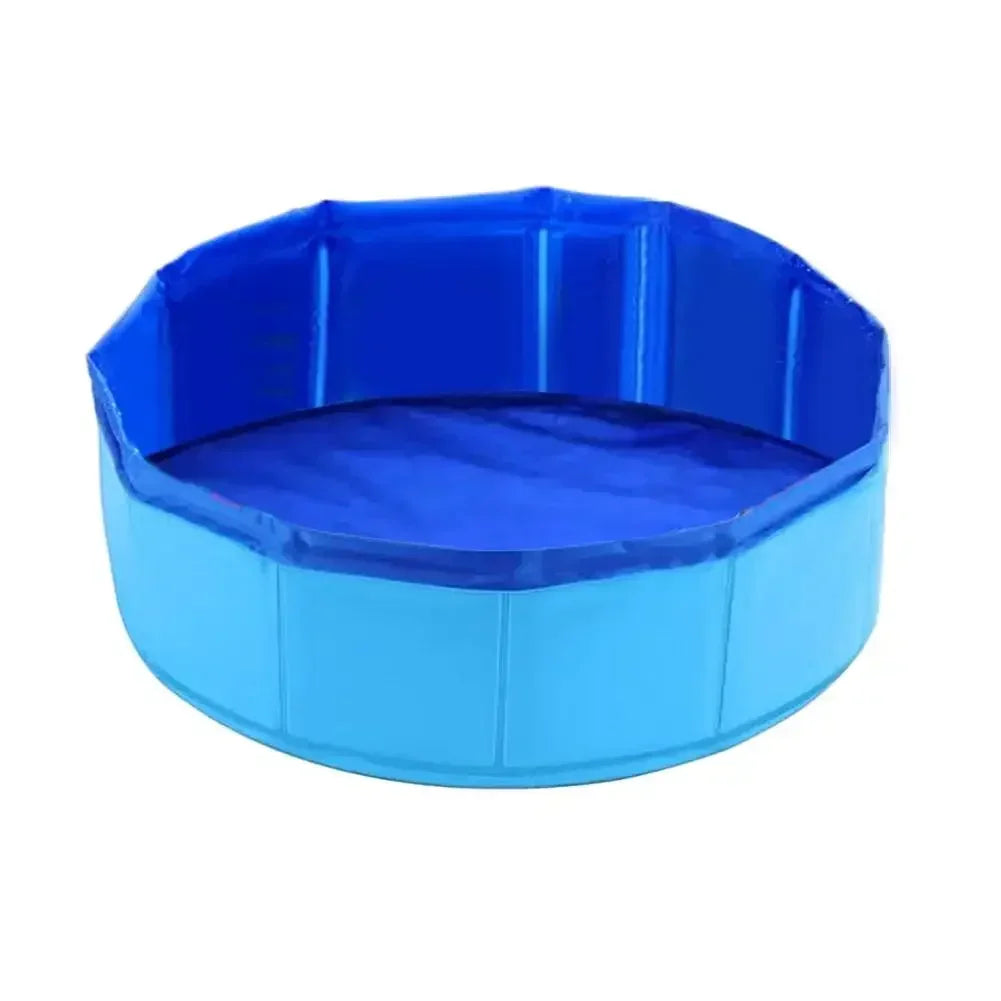 Cat Pool for Water Play