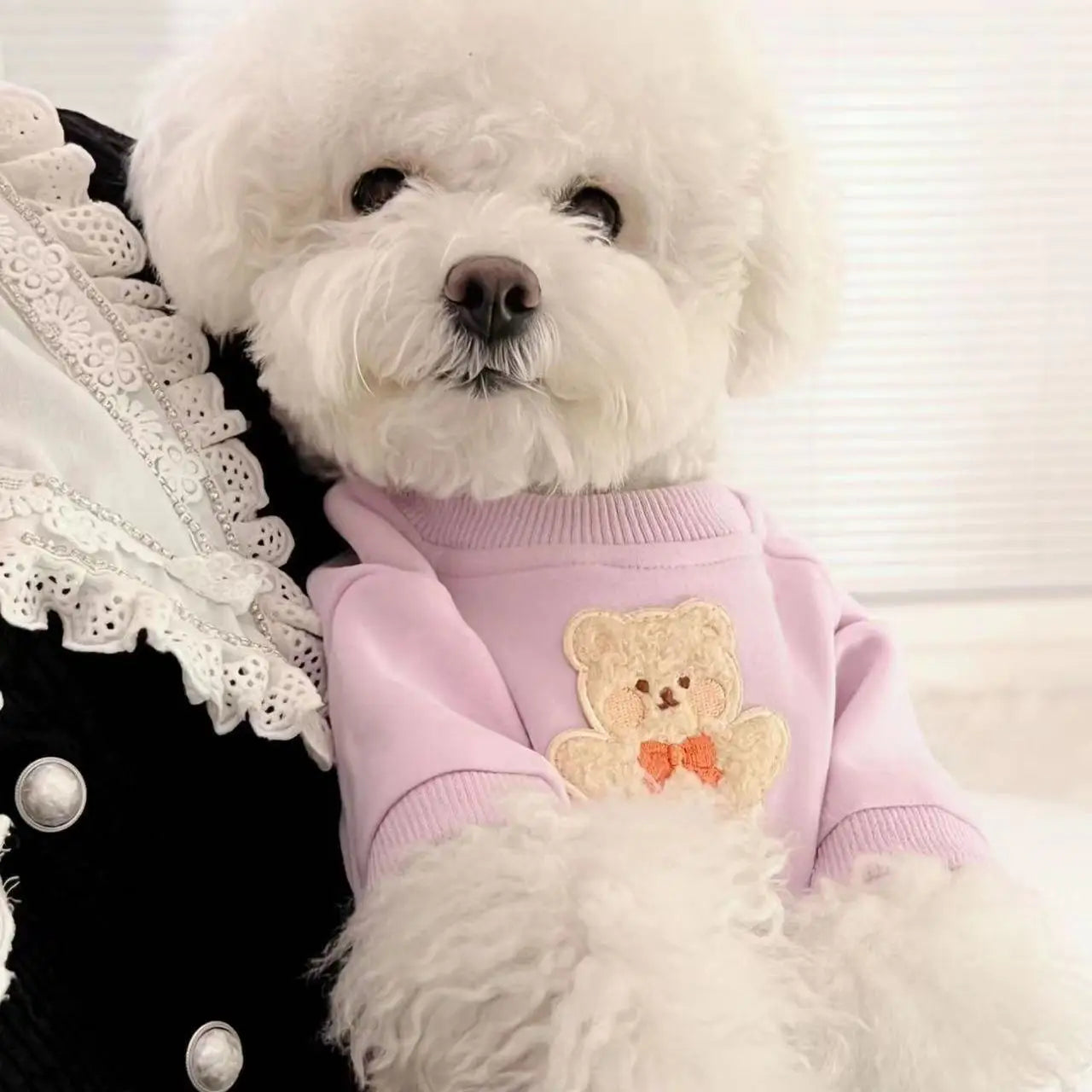 Sweet Teddy Bear Soft
Cat or Dog Sweater | Pajamas