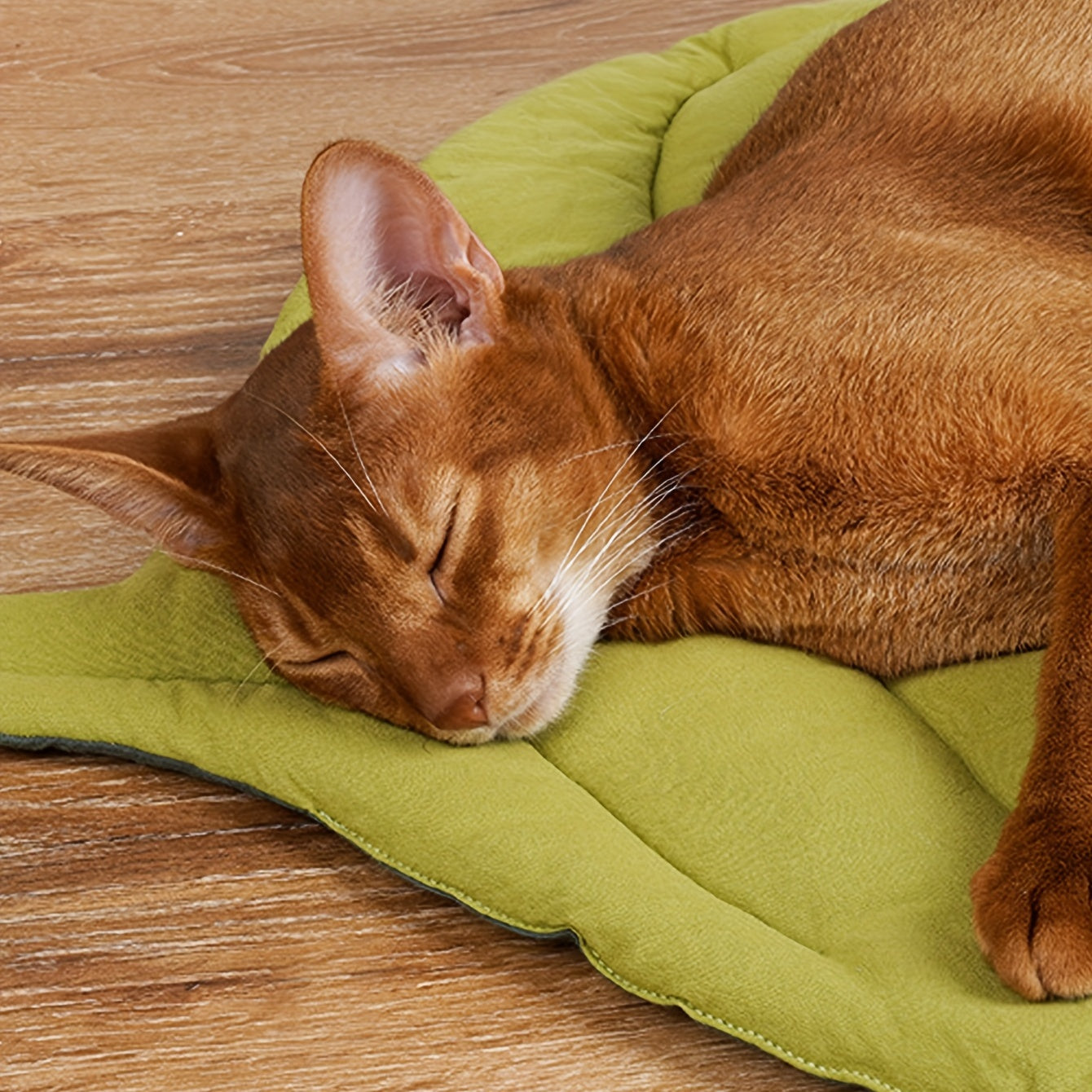 Springtime Leaf Pet Mat |Perfect Floor Cushion | Reversible 20x27 in.