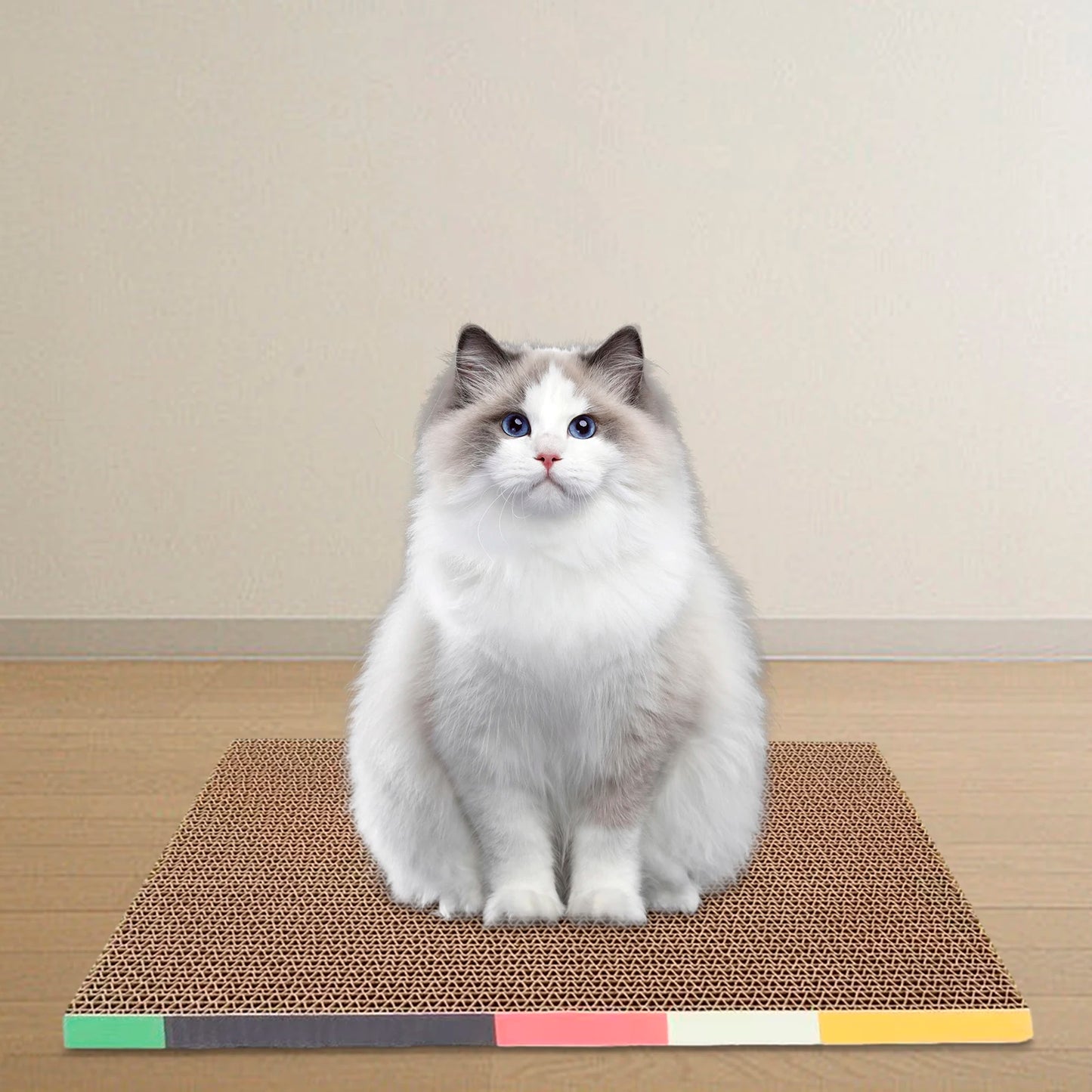 Cat Scratching Board