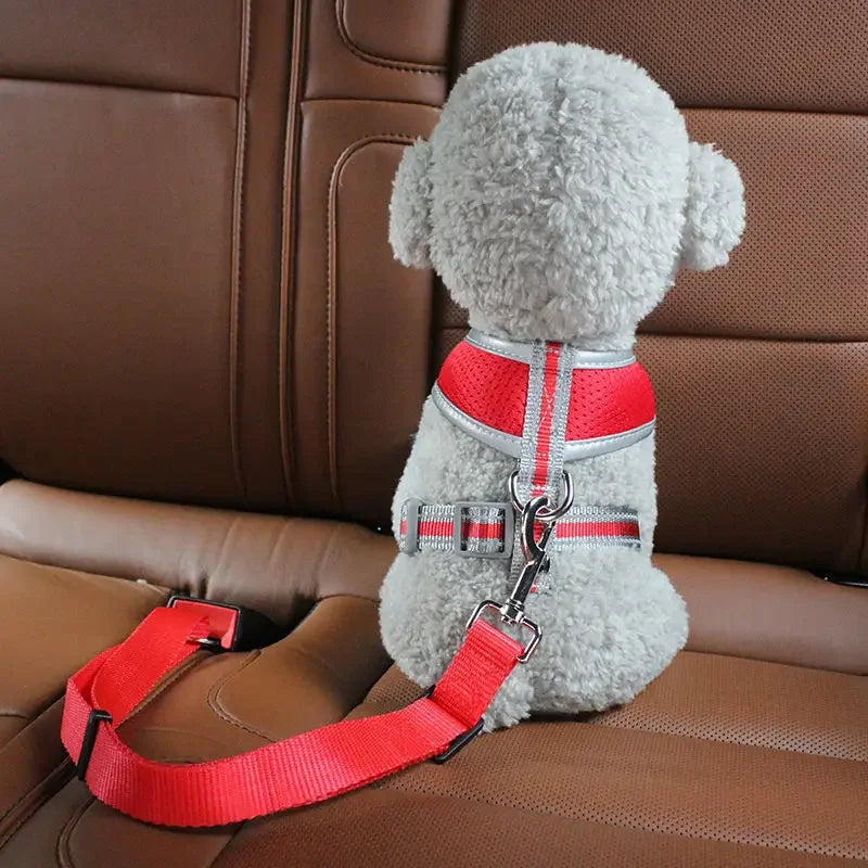 Dog Car Seat Belt | Safety Protector | Travel Accessories