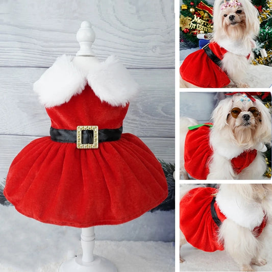 Glamorous Holiday Christmas Dog Dress Xmas | Santa’s Buckle or Festive Green Ribbon Belt