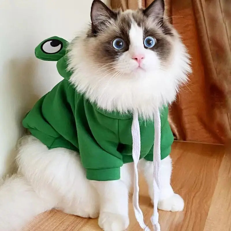 Cute Froggy Dog Hoodie
