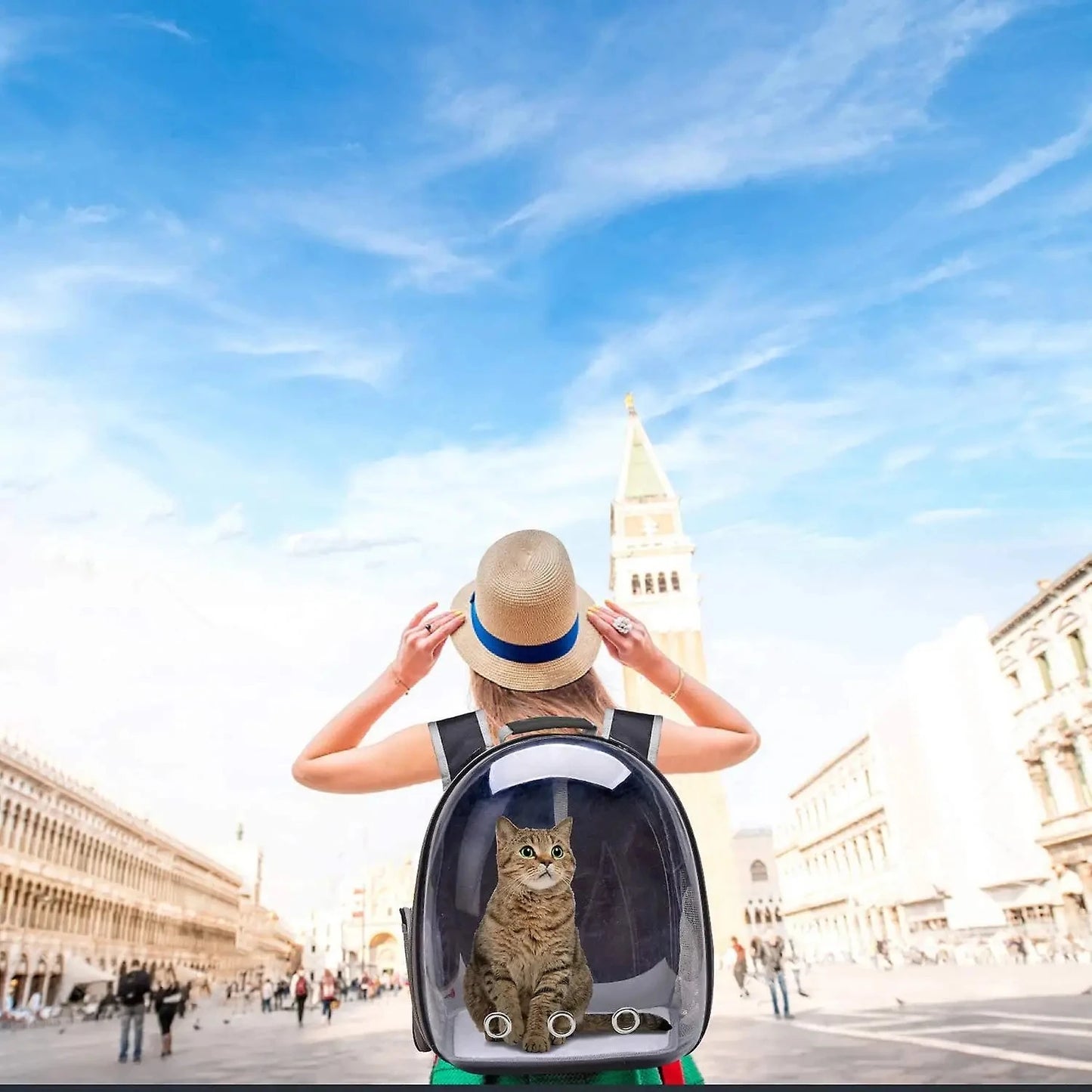 Cat Bubble Backpack Carrier