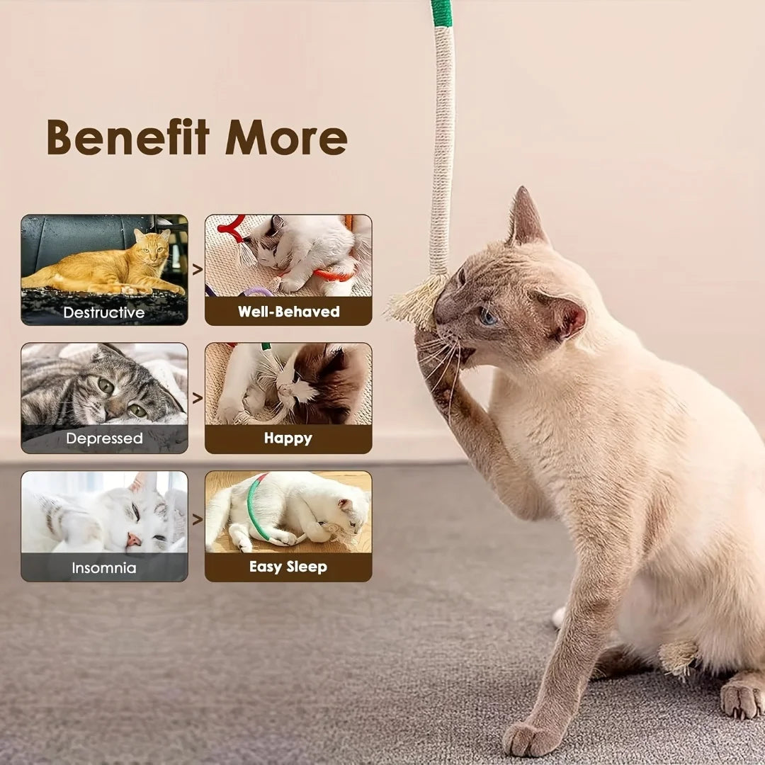 Cotton Rope Cat Chew Toy for Teeth Cleaning