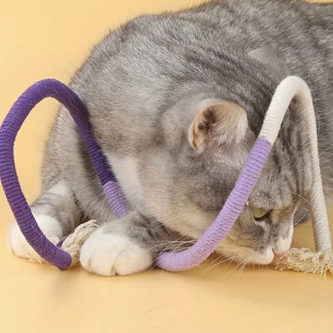 Cotton Rope Cat Chew Toy for Teeth Cleaning