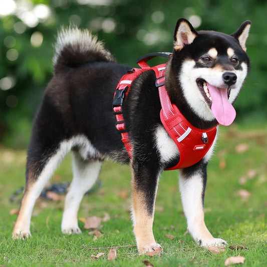 Reflective Dog Chest Harness
| Sturdy | Comfortable