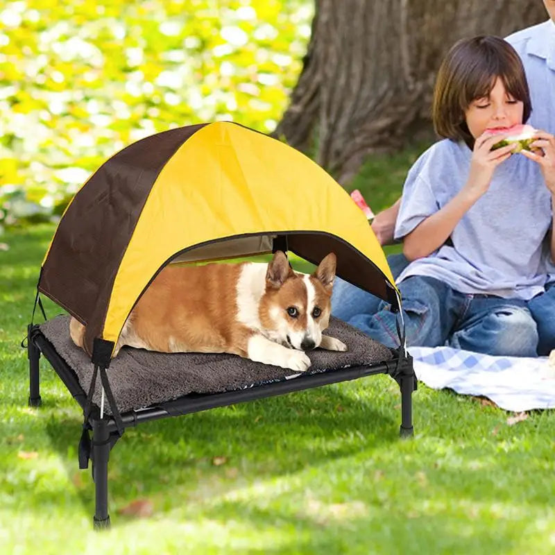 Foldable Elevated Outdoor Dog Camping Tent | Waterproof