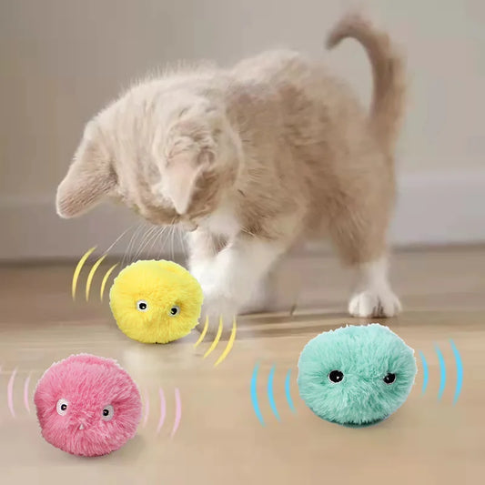 Smart Cat or Kitten Toy Interactive Ball | Electric Catnip Training Toy