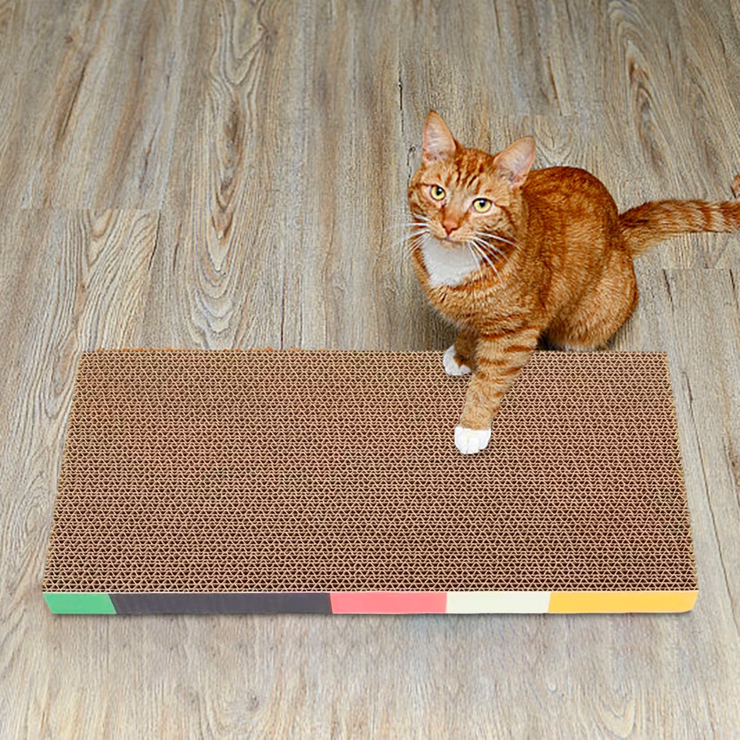 Cat Scratching Board