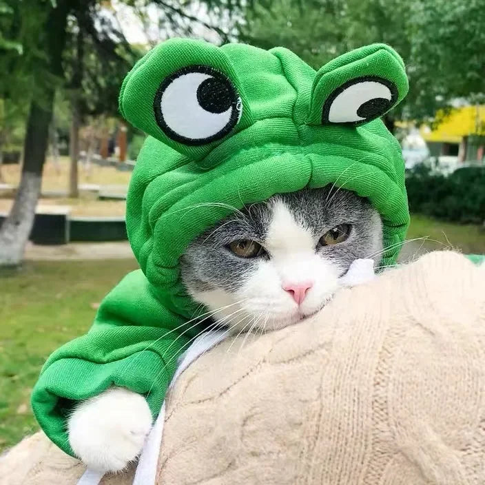 Cute Froggy Dog Hoodie