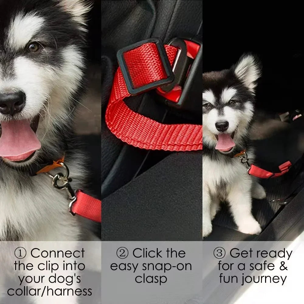 Dog Car Seat Belt | Safety Protector | Travel Accessories