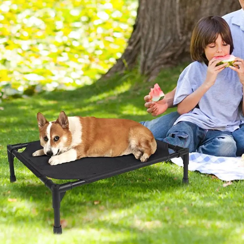 Foldable Elevated Outdoor Dog Camping Tent | Waterproof